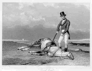 Name:  beating a dead horse.gif
Views: 688
Size:  129.0 KB