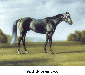Name:  elegant-horse-pictures_2039_37264423.gif
Views: 1306
Size:  35.4 KB