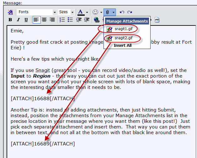 Name:  snagit2.gif
Views: 941
Size:  31.5 KB
