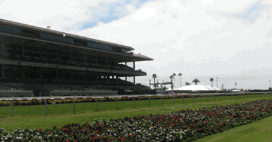 Name:  delmar-2010.gif
Views: 2430
Size:  131.4 KB