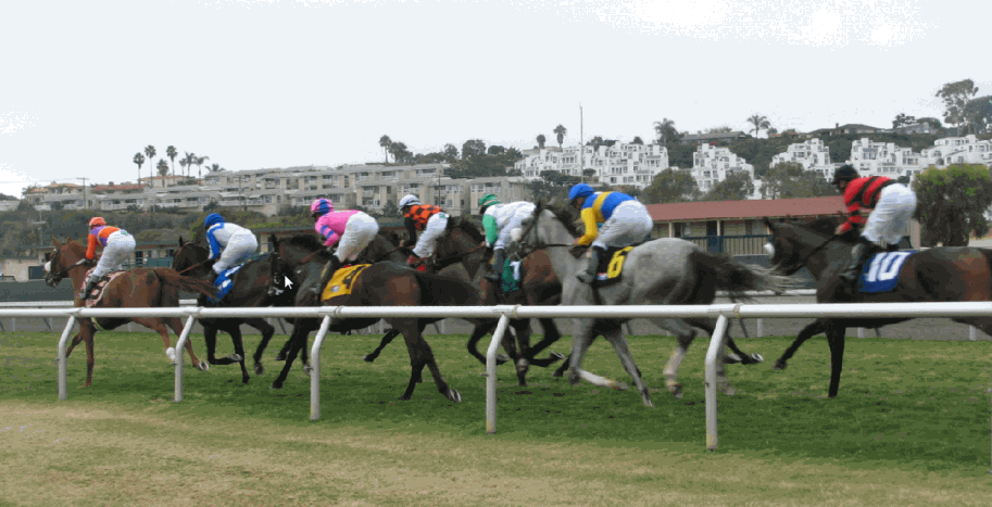 Name:  backstretch.gif
Views: 2683
Size:  108.9 KB