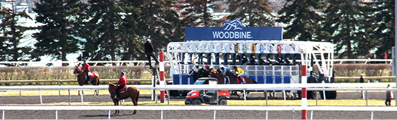 Name:  woodbine out of the gate very small.jpg
Views: 718
Size:  174.3 KB