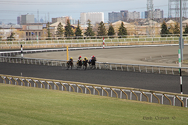 Name:  woodbine coming down the stretch for p n c.png
Views: 1572
Size:  187.2 KB