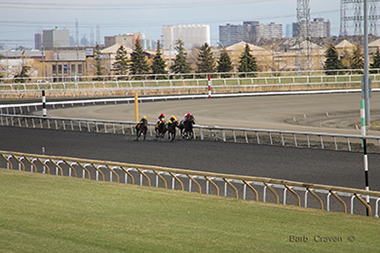 Name:  woodbine coming down the stretch for p n c.png
Views: 795
Size:  187.2 KB