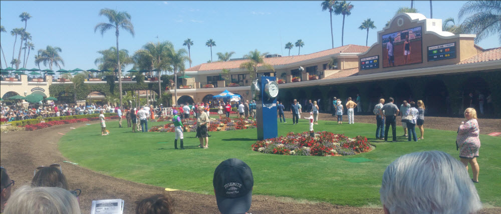 Name:  P&C.DMR.saddling.jpg
Views: 451
Size:  119.3 KB