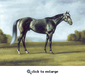 Name:  elegant-horse-pictures_2039_37264423.gif
Views: 840
Size:  35.4 KB